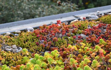 the cost of Long Duckmanton green roof installation