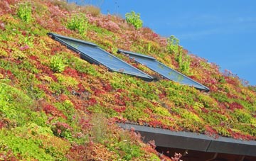 Long Duckmanton living roof systems